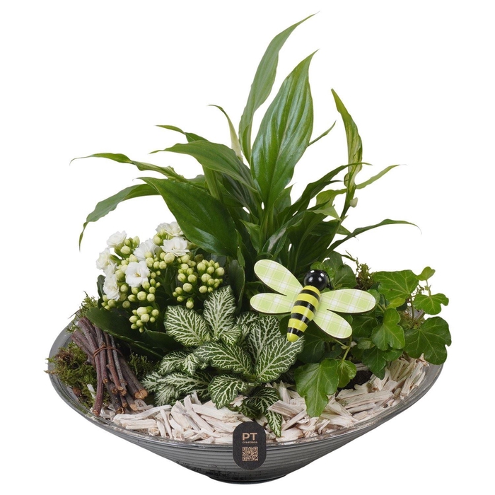 <h4>Arr.    Planten  L%</h4>