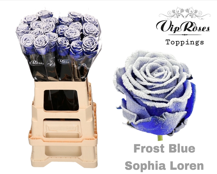 R GR FROST VENDELA BLUE