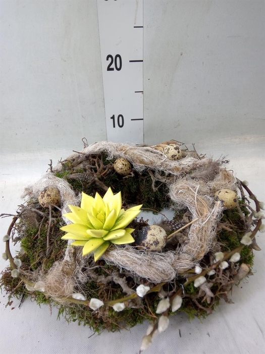 <h4>Planten ..in schaal H%</h4>