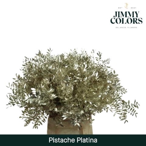 Pistache L45 Metallic platina + glitter