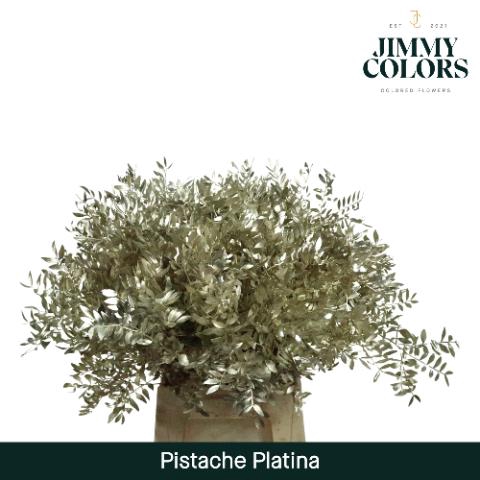 <h4>Pistache L45 Mtlc. Platina + glitter</h4>