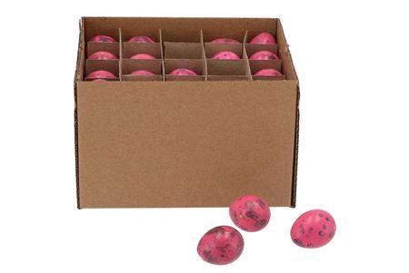 <h4>Eggs Quail Fuchsia P/60</h4>