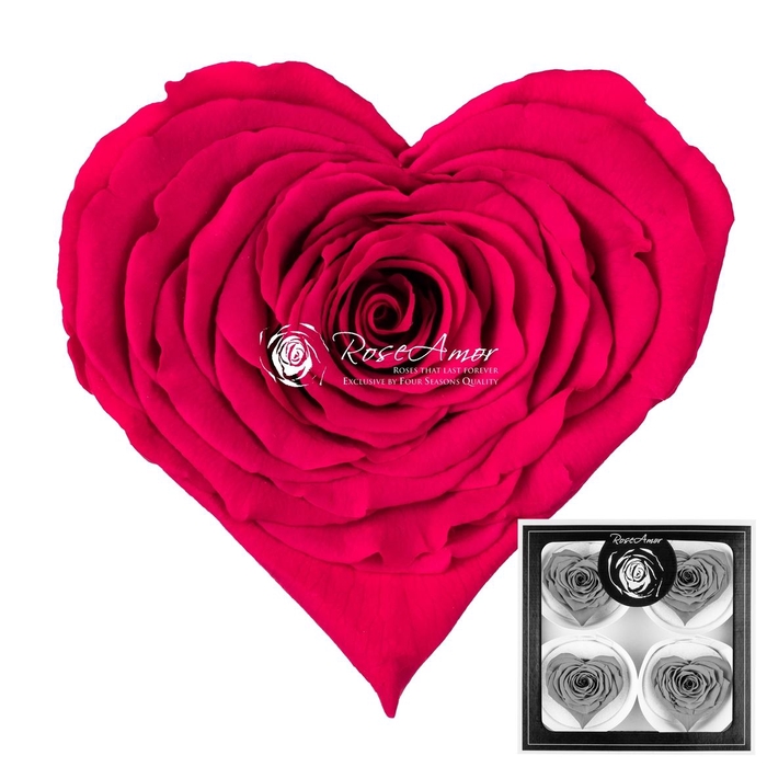 <h4>Corazon Bella Pin03</h4>