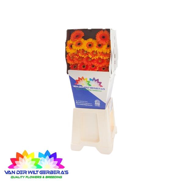 <h4>GE MI Gemengd oranje</h4>