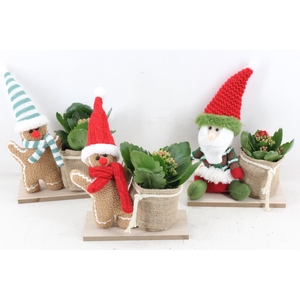 arr2 MB - Knuffel op plank mix