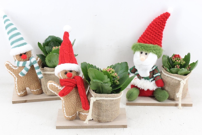 <h4>arr2 MB - Knuffel op plank mix</h4>