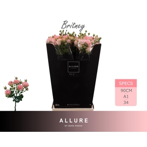 R TR BRITNEY ALLURE 90 cm