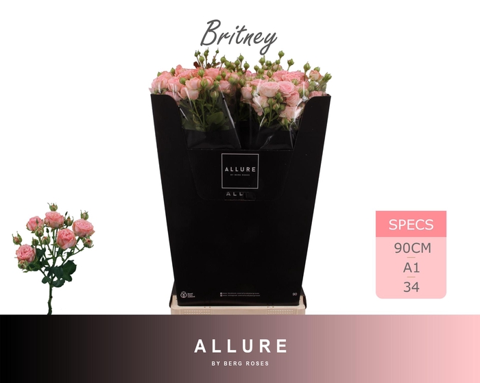 <h4>R TR BRITNEY ALLURE 90 cm</h4>