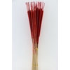 Dried Typha Red 50pcs Bunch