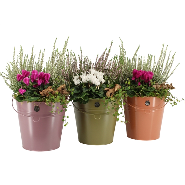 <h4>41465: Autumn Outdoor arrangement</h4>