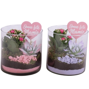 Grandmothers Day Arr. Indoor Glass Vase Cylinder Ø15cm 2PP