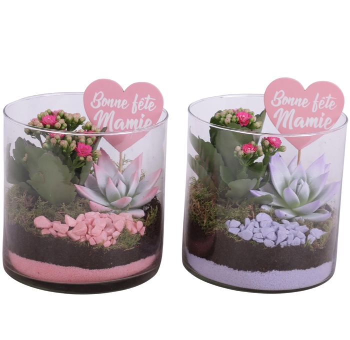 <h4>Grandmothers Day Arr. Indoor Glass Vase Cylinder Ø15cm 2PP</h4>