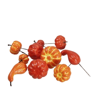 Herfst Pompoen/draad d4-5cm x24