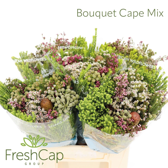 Bouquet Cape Mix