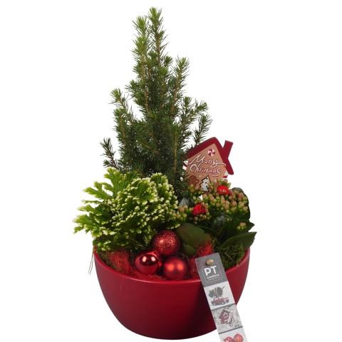 <h4>PTCHR7237 Arrangementen Kerst</h4>