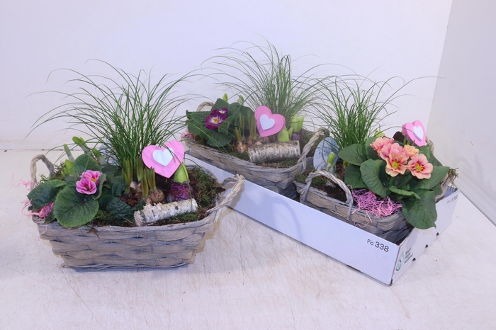 <h4>ARR TUINPLANTEN</h4>