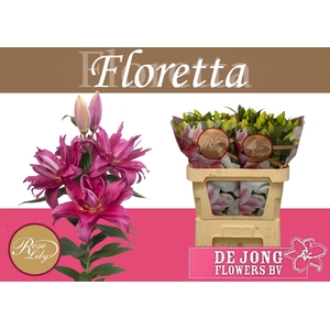 LI OR DU RL FLORETTA