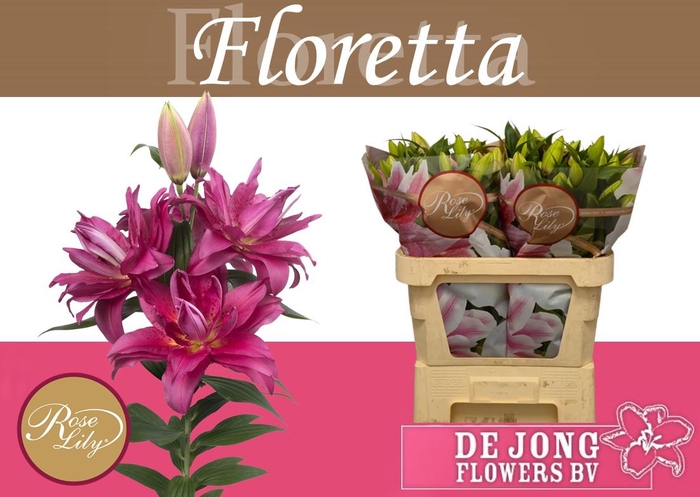 <h4>LI OR DU RL FLORETTA</h4>