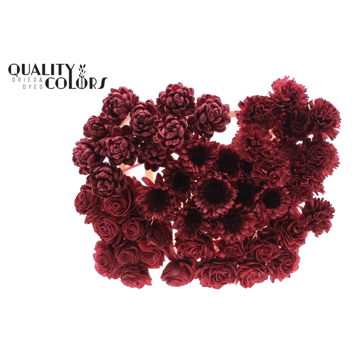 <h4>Shola Flower Mix on stem Burgundy</h4>