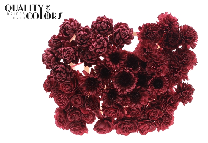 Shola Flower Mix on stem Burgundy