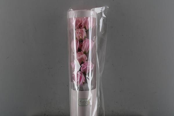 <h4>Led-rozen Rose H%</h4>