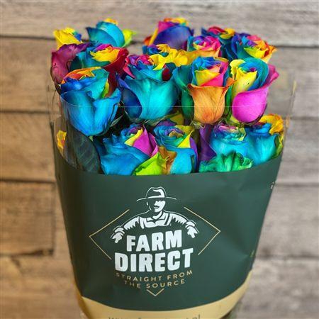 <h4>R Gr Mondial Rainbow</h4>