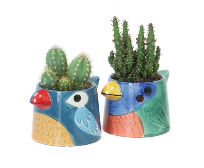 <h4>Cactus 8,5 cm in blauwe tanager bird planter</h4>