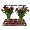 VIOLA FRIZZLE SIZZLE YELLOW/BLUE