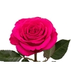 R GR QUEENBERRY