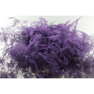 Asp Lang Getopt Milka