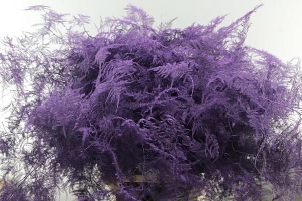 <h4>Asp Lang Getopt Milka</h4>