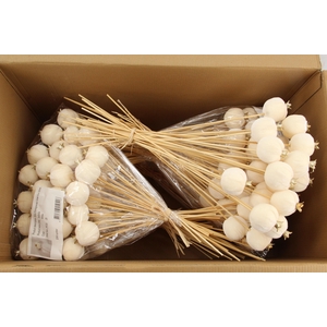 Stick Pomegranate V.6cm White