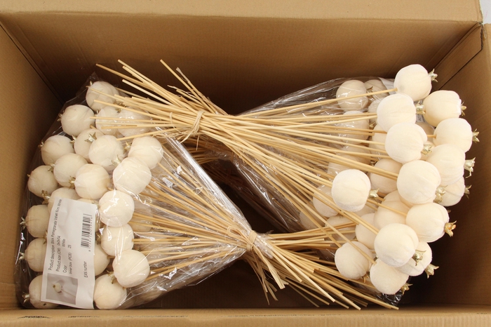 <h4>Stick Pomegranate V.6cm White</h4>