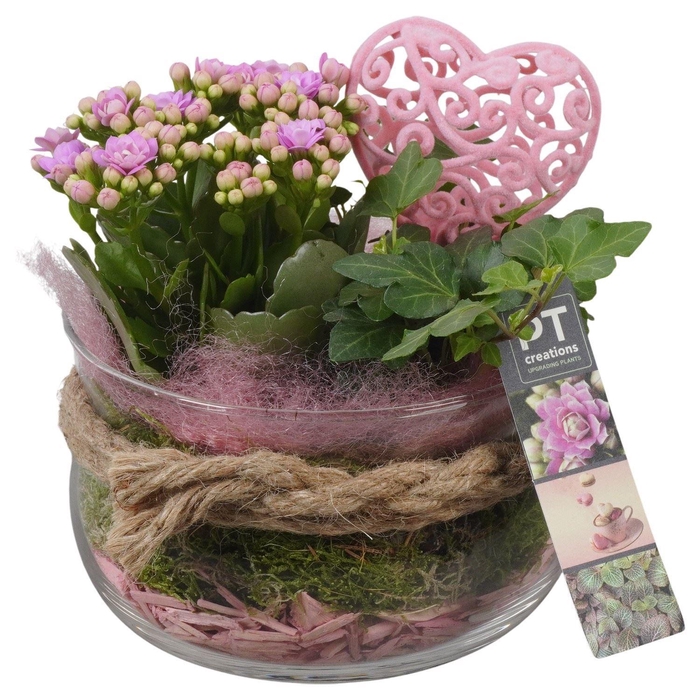 <h4>Arr. Planten L%</h4>