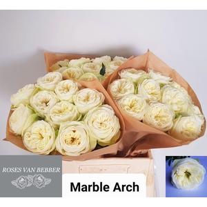 R GR MARBLE ARCH