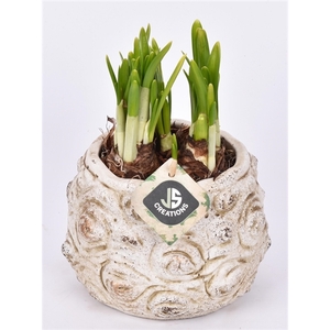 Cement pot bloemdecor 16cm