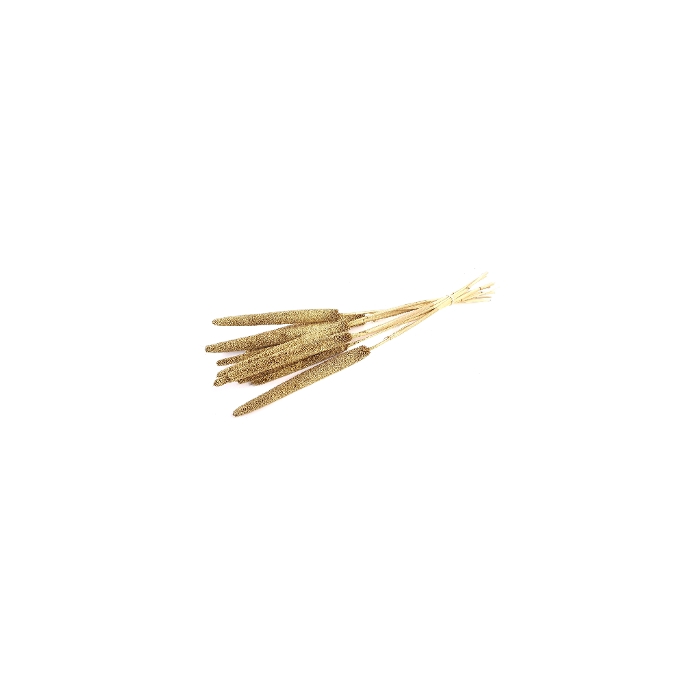 <h4>DRIED FLOWERS - BABALA GOLD ON NATURAL STEM 10PCS</h4>