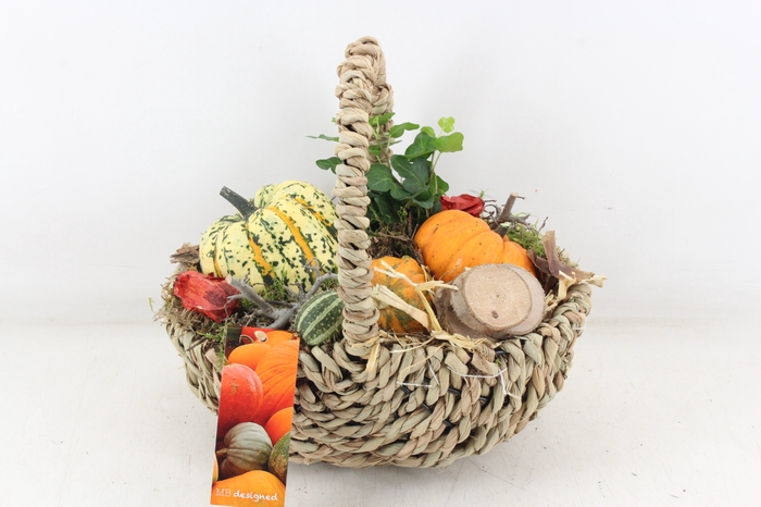 <h4>arr4 Sierfruit MB - Tasmand x4</h4>