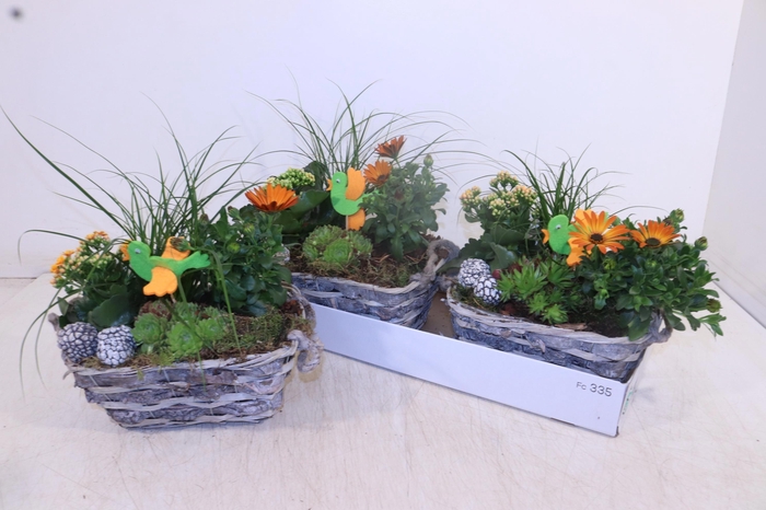 <h4>ARR TUINPLANTEN</h4>