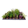 GREEN MIX LUNDAGER P6 X 28