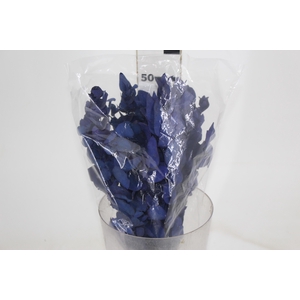 PLANTA SECA EUCALIPTO COLORIDO AZUL 50CM