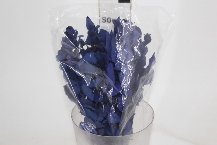 <h4>PLANTA SECA EUCALIPTO COLORIDO AZUL 50CM</h4>