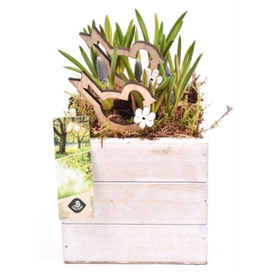 Hout box white wash 10x10cm