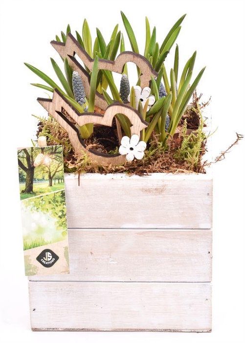 <h4>Hout box white wash 10x10cm</h4>