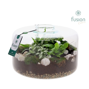 Green Bottle Kyra XLarge met arrangement