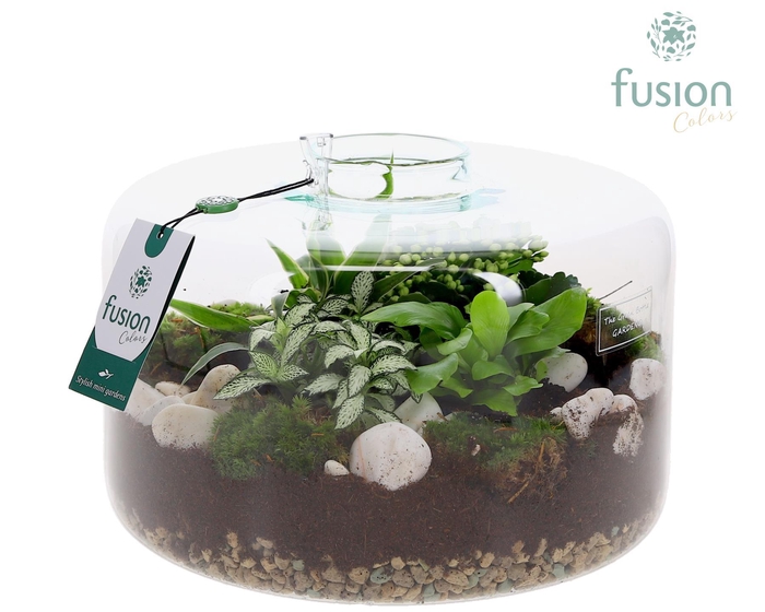 <h4>Green Bottle Kyra XLarge met arrangement</h4>