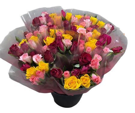 <h4>R Gr Rainbow Mix</h4>