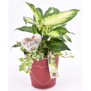 Zink pot rood met hart 13cm