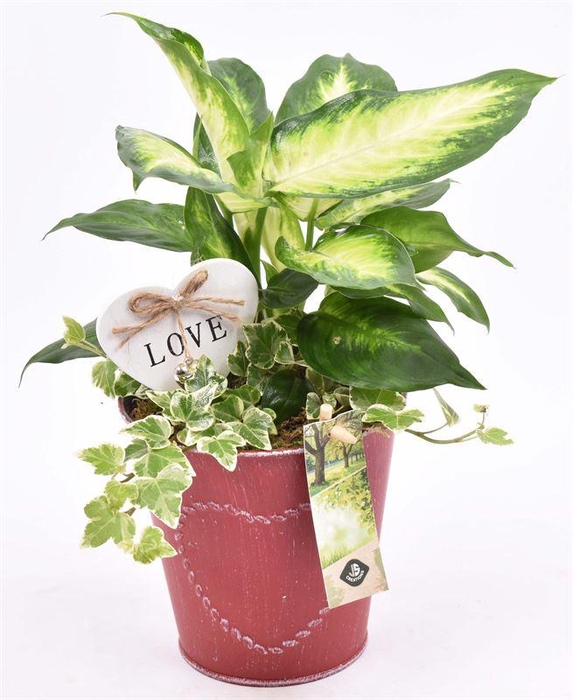 <h4>Zink pot rood met hart 13cm</h4>