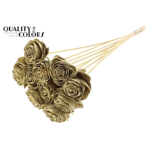Shola Beauty Rose 6cm on stem Gold